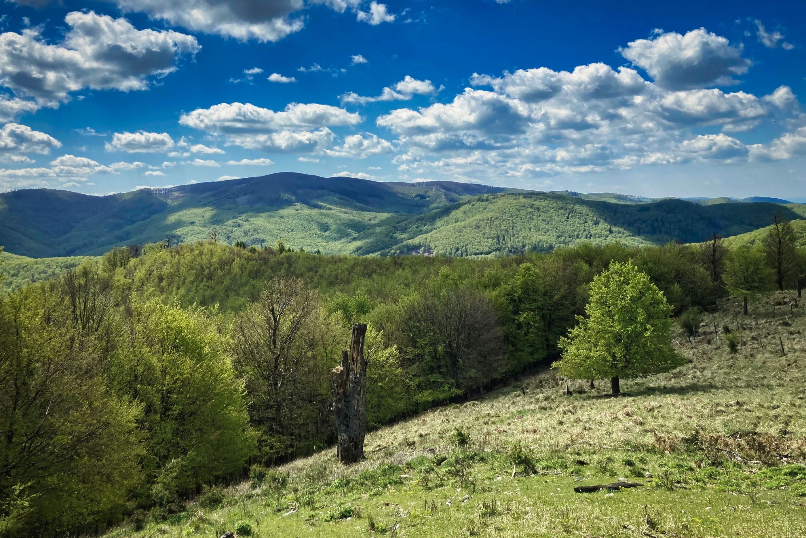 Vysoká (754mnm) - prírodná rezervácia